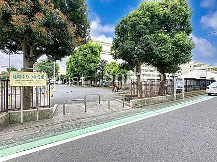 藤崎ゆりのき公園 650m