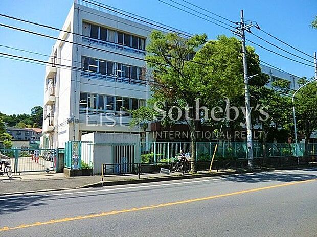 川崎市立野川小学校(約500m)