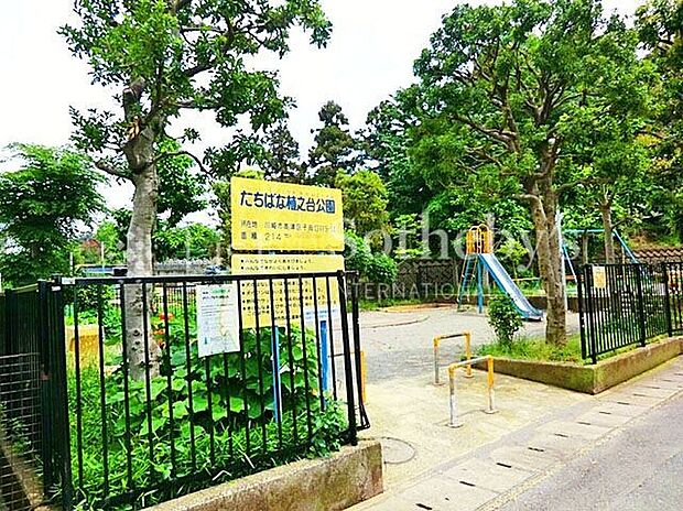 たちばな植之台公園(約650m)