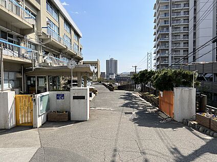 神戸市立東舞子小学校 約1190ｍ～約1310ｍ(徒歩15分～17分)