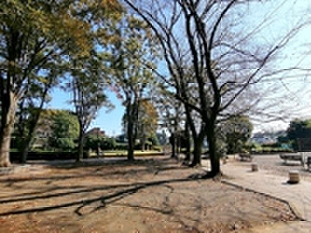 砂川公園