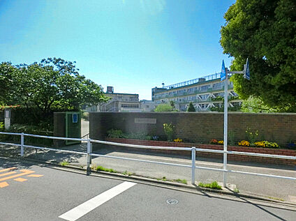 小金井市立緑小学校 916ｍ