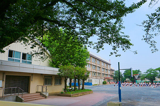 国立市立国立第七小学校(約450m)