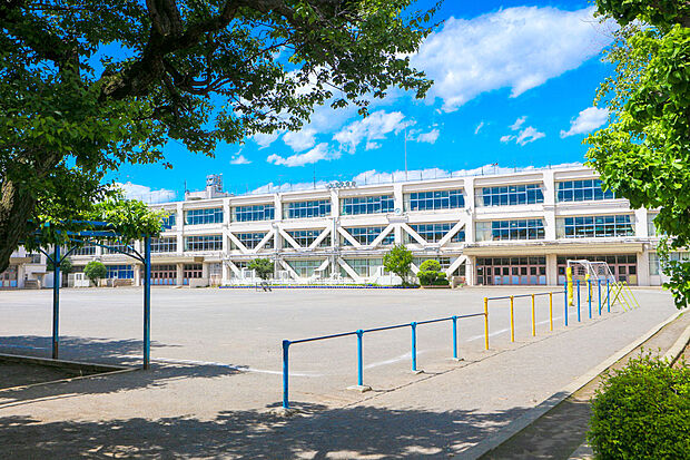 立川市立柏小学校（約1,500m）