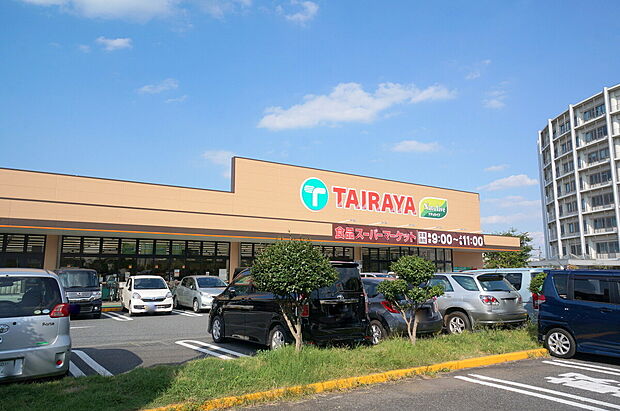 エコスTAIRAYA拝島店(約750m)