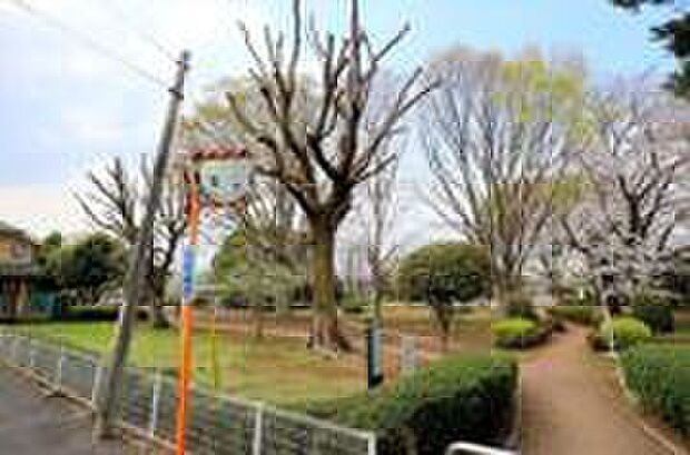 若葉公園(約700m)