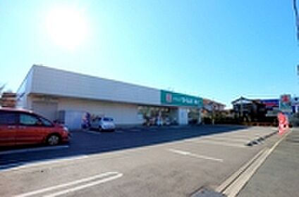 ドラックセイムズ国分寺並木店 約768m
