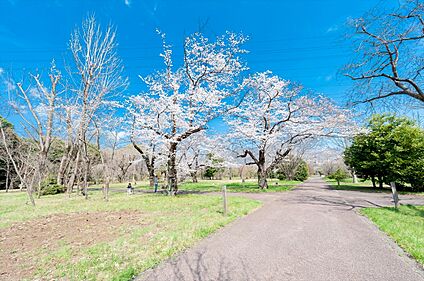 武蔵野公園 約170ｍ(徒歩約3分)