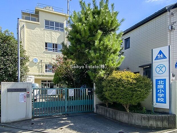 中野区立北原小学校(約60m)