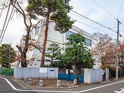 練馬区立開進第三中学校 650ｍ(徒歩約9分)