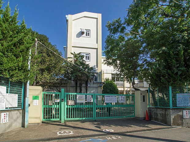 杉並区立西田小学校(約504m)