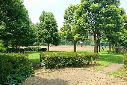 柴崎公園 約500ｍ(徒歩約7分)