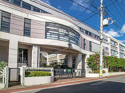 杉並区立高南中学校 約850ｍ(徒歩約11分)