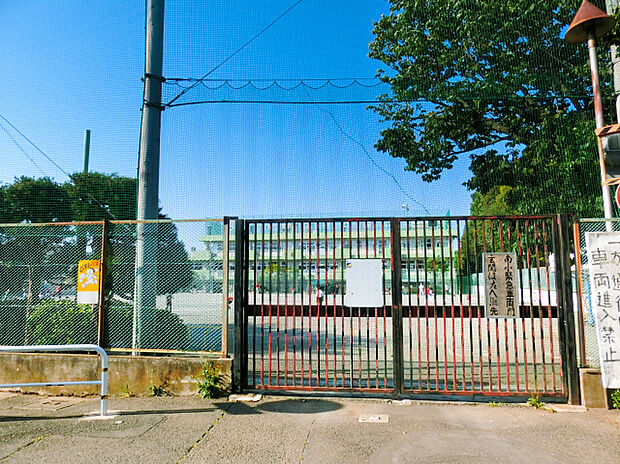 小金井市立南小学校