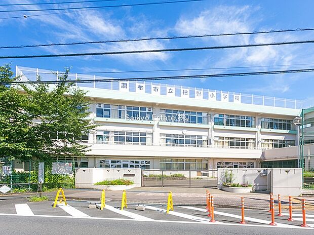 調布市立柏野小学校