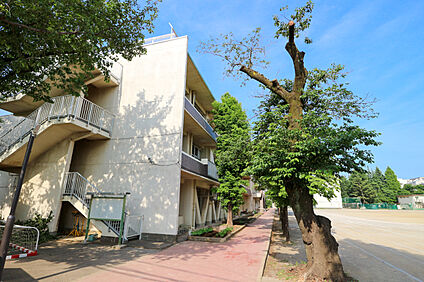 府中市立府中第四中学校 約480ｍ(徒歩約6分)