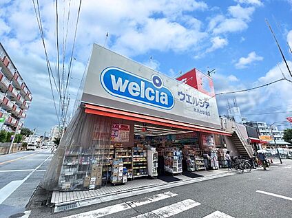 ウエルシア氷川台駅前店 約1060ｍ(徒歩約14分)