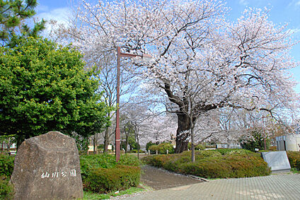 仙川公園 約1361ｍ(徒歩約18分)