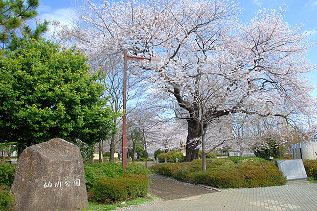 仙川公園