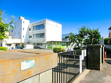 狛江市立狛江第三小学校 約800ｍ(徒歩約10分)