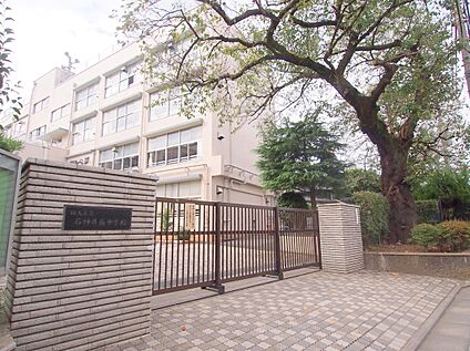 練馬区立石神井南中学校 約500～550ｍ(徒歩約7分)