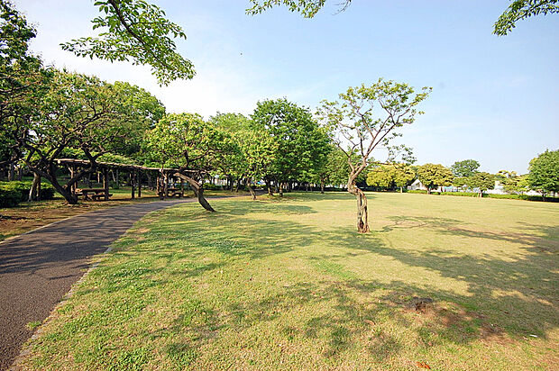 府中市郷土の森公園
