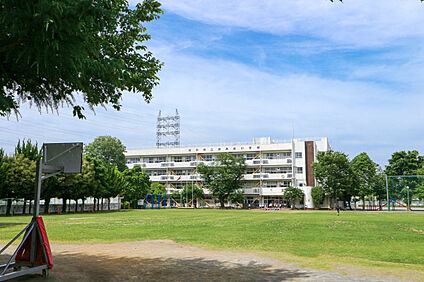府中市立白糸台小学校 約800ｍ(徒歩約10分)