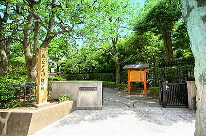 殿ケ谷戸公園 約1003ｍ(徒歩約13分)