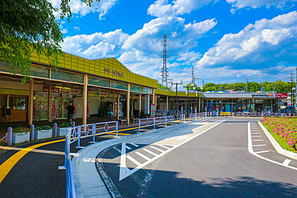 グルメシティ立川若葉店 約1014ｍ(徒歩約13分)