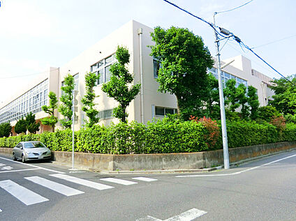 葛飾区立堀切中学校 850ｍ(徒歩11分)