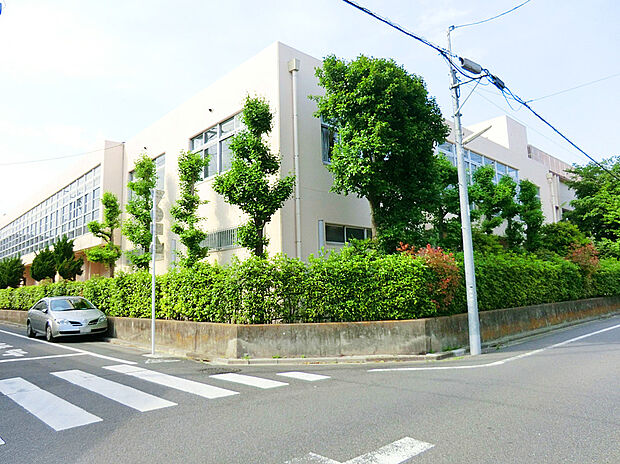 葛飾区立堀切中学校(約850m)