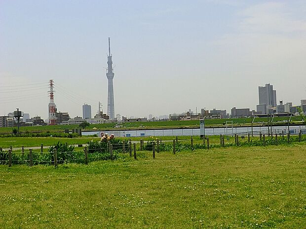 堀切水辺公園(約450m)