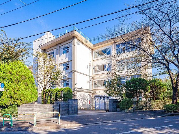 練馬区立八坂中学校(約880m)