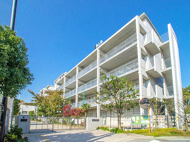 世田谷区立船橋小学校（約798m）