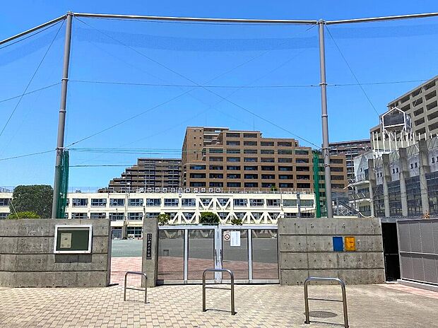 世田谷区立塚戸小学校（約800m）