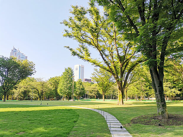 新宿中央公園(約650m)