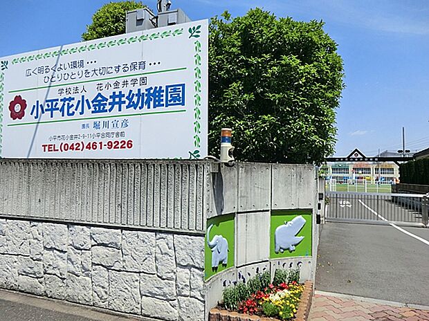 小平花小金井幼稚園(約600m)