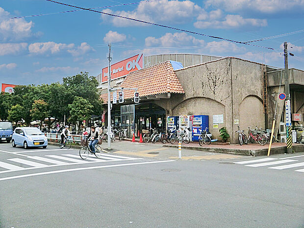 オーケー国分寺店(約600m)
