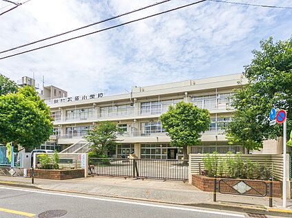 調布市立石原小学校 550ｍ