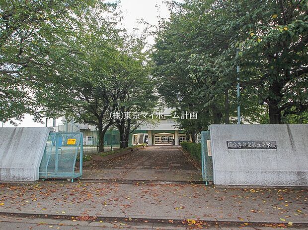 国分寺市立第五中学校(約990m)