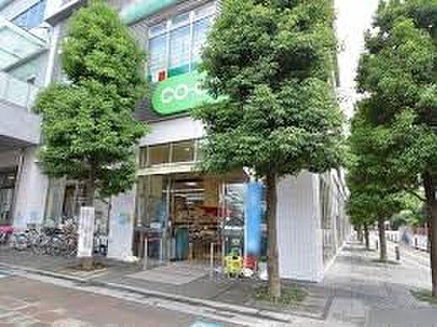 コープ東村山駅前店（約570m）