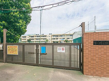調布市立八雲台小学校 900ｍ