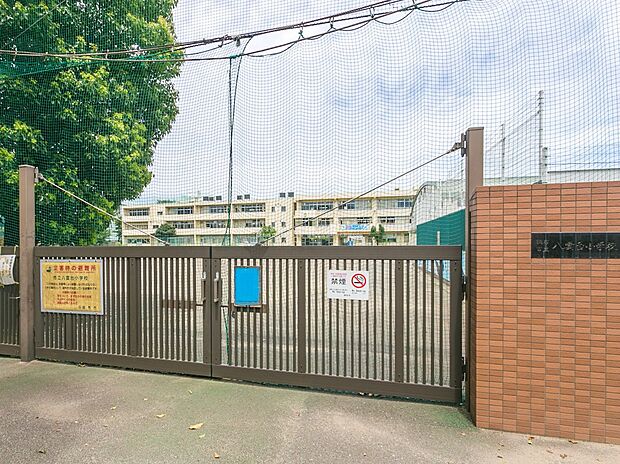 調布市立八雲台小学校(約900m)