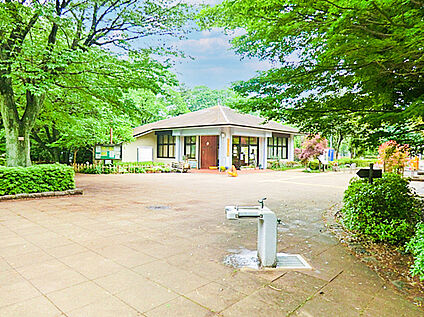 武蔵野公園 650m