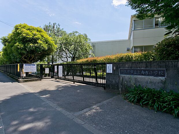 西東京市立上向台小学校(約1,200m)