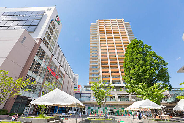 イトーヨーカドー武蔵小金井店（約1,010m）