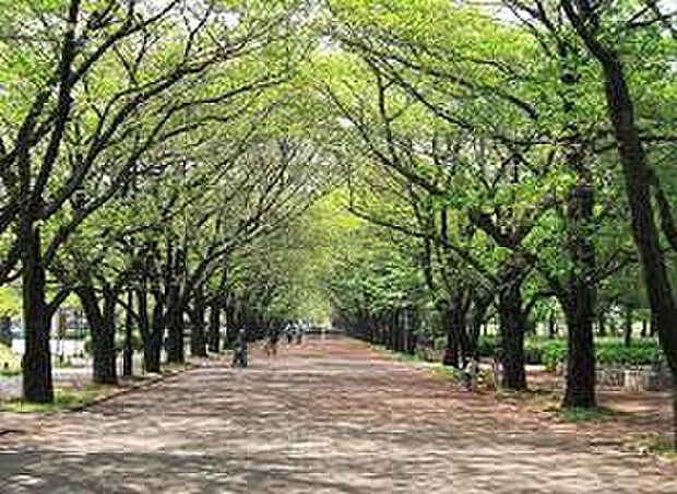 府中公園(約1,100m)