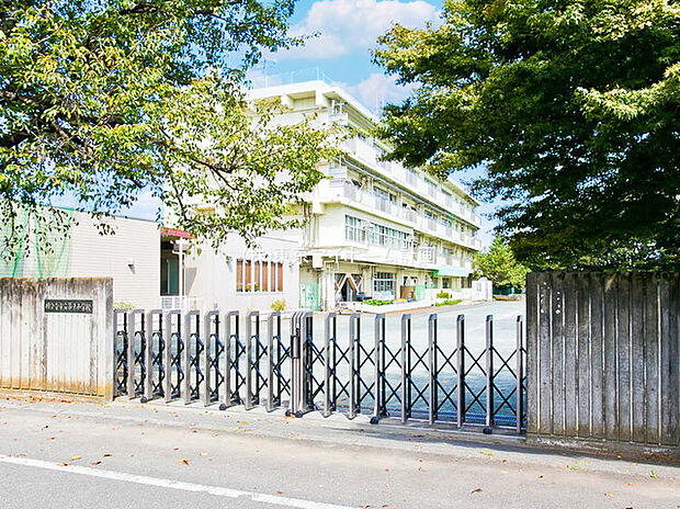 国分寺市立第十小学校(約350m)