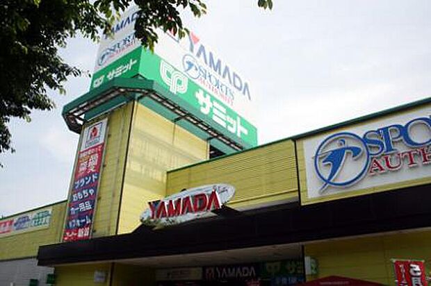 サミットストア府中西原店(約1,000m)