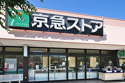 京急ストア北久里浜店 594ｍ(徒歩約8分)